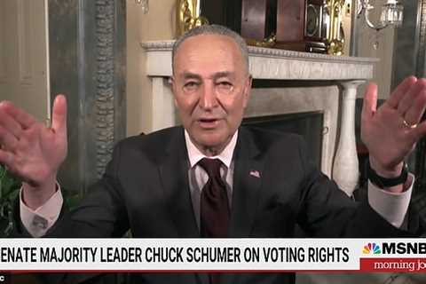 Schumer says senators are telling moderates that if they don’t kill the filibuster they will lose..