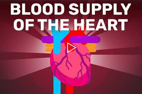 The Clever Supply of Blood to The Heart | Physiology