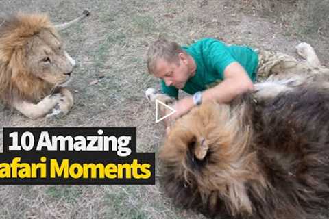 Top 10 Best Safari Moments Caught On Camera!