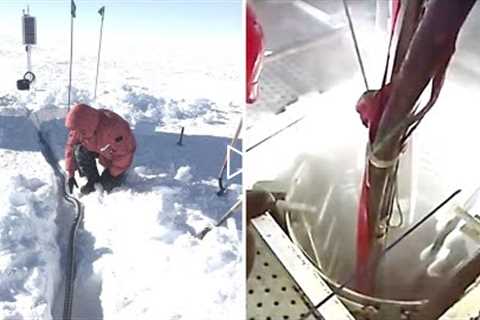 Scientists Have Revealed They Made A Chilling Discovery Sticking Out Of The Snow In Antarctica