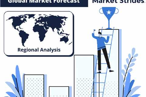 Europe Plastic Bandages Market Size and Projection 2030 – Talking Democrat