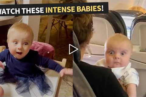 Top 13 Funniest Baby Moments Compilation