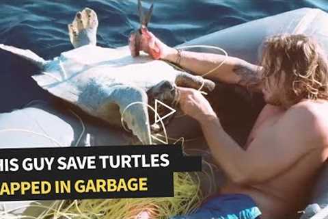 Family of Sea Turtles Rescued From Fishing Net | Incredible Animal Rescue