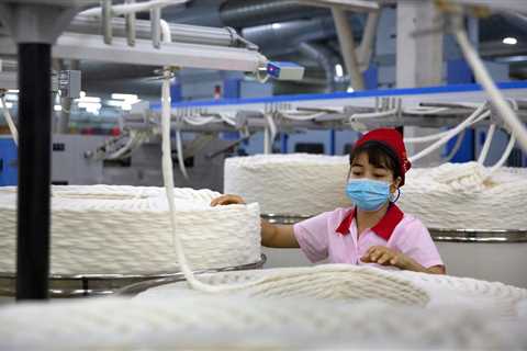 Supply Chains Widely Tainted by Forced Labor in China, Panel Is Told