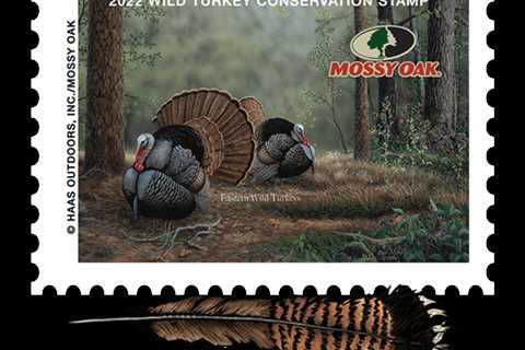 Mossy Oak’s Wild Turkey Conservation Stamp Raises $20K in the First 24 Hours