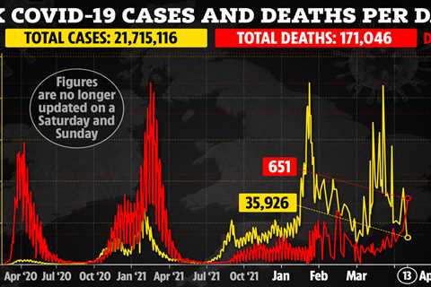 Second Omicron wave fizzles as daily cases drop by a third but deaths creep up