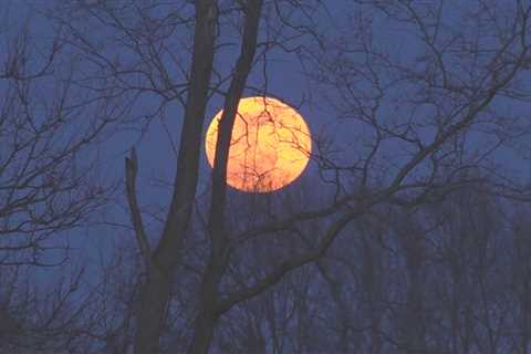 Severson Dells hosts full moon hike for pink moon