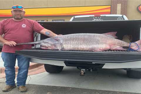 Tennessee Angler Snags a 120-Pound Paddlefish, and the New State Record