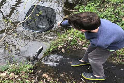 Indiana trout season begins when homeschoolers stock Potato Creek