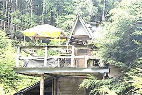 This Hiker Found An Old Abandoned Cabin Inside This Swampland But Didn't Expect To Encounter This