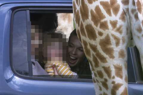 Carrie Johnson’s son Wilfred squeals with joy as giraffes approach him at safari park