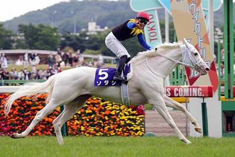 A Rare Kind of Filly Dazzles at the Racetrack