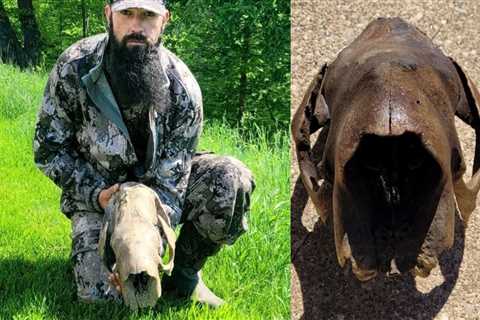 West Virginia Turkey Hunter Discovers Giant Sloth Skull That’s at Least 11,000 Years Old