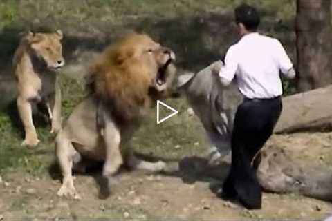 25 Interesting Zoo Animal Moments Caught On Video