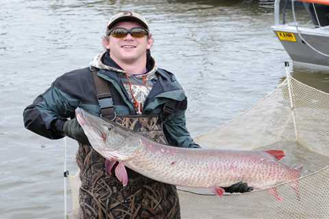 Wisconsin DNR: “ It’s Very Possible That a World Record Muskie Is Swimming in Green Bay”