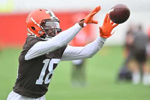 David Bell: Cleveland Brown’s Secret Weapon