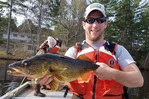 Wisconsin Waters Are Warming. Its Walleye Fishing and Stocking Programs Are in Trouble