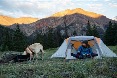 The Best Tents for Camping with Dogs of 2022