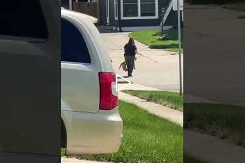 Neighbour takes fake dog for a walk