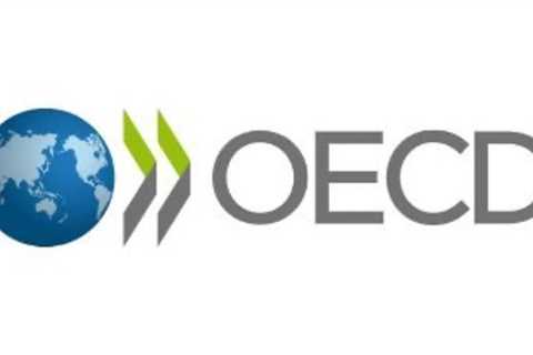 The OECD research studies the financial effect of plastic contamination policies