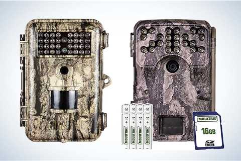 The Best Trail Camera Prime Day Deals 2022