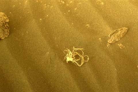 Bizarre!  NASA finds mysterious “spaghetti” on Mars.  Party time for aliens?