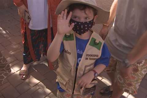 Make-A-Want Arizona surprises Gilbert boy with journey to San Diego Zoo