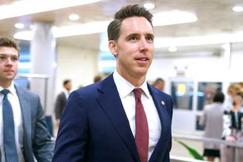 Former DC officer attacked by mob on January 6: Josh Hawley ‘walked like a…’