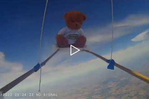 Teddy Bear Gets Launched into Space!