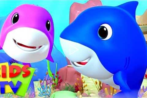 Laughing Baby Shark Song | Nursery Rhymes | Children's Music & Baby Songs | Junior Squad | Kids ..