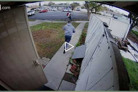 Craziest & Funniest Moments Caught On Ring Home Security Camera