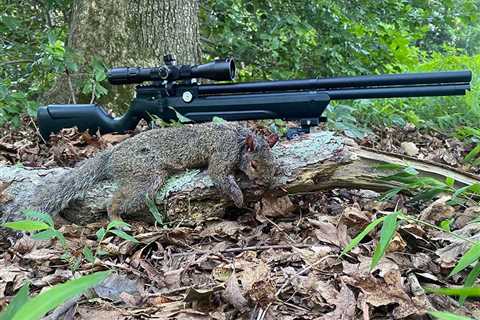 The Best Air Rifles for Squirrels of 2022