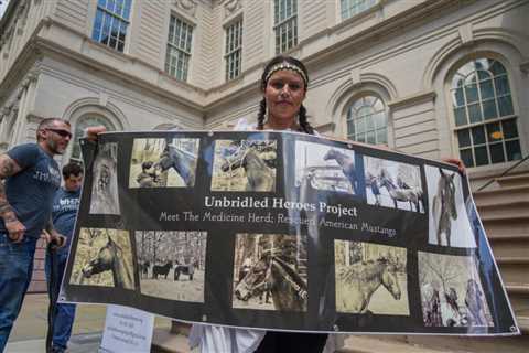 Veterans join battle over NYC carriage horses as pressure mounts on City Hall to outlaw the industry