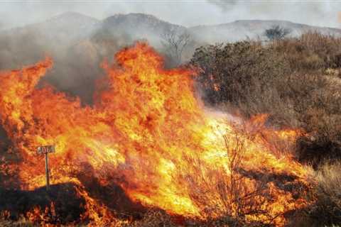 Brush fireplace destroys at the very least one house close to border in San Diego County