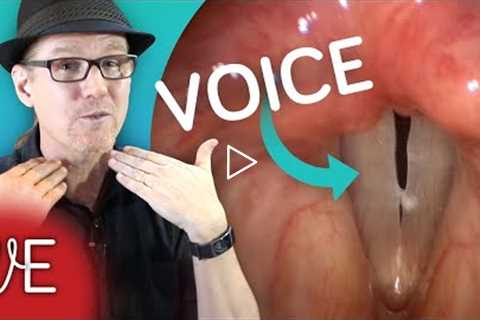 Learn how VOCAL CORDS work for Speech and Singing | #DrDan 🎤