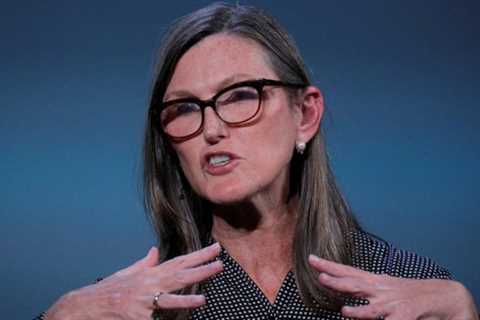 Kathy Wood is banking on crypto again.  nation world news