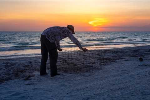 Conservancy of Southwest Florida celebrates 40 years of sea turtle research