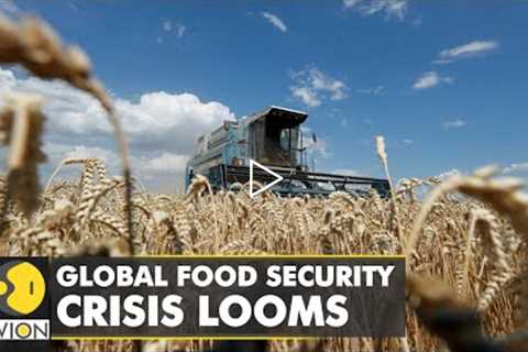 Global food security crisis looms: Russia to free up maritime blockade | World English News | WION