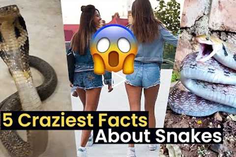 5 Things You Didn't Know about Snakes!