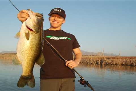 Best Soft Plastic Baits for Bass