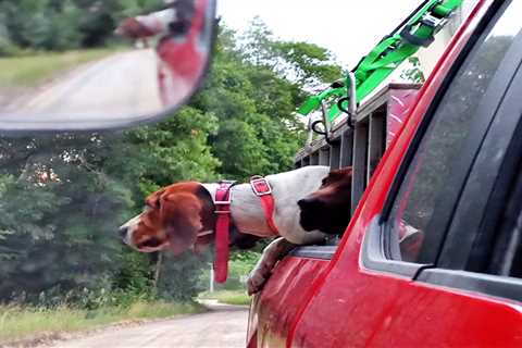 Court Case Involving Three Vermont Hunters, a 61-Year-Old Suspect, and a Can of Bear Spray Moves..