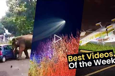 Viral Videos of the Week