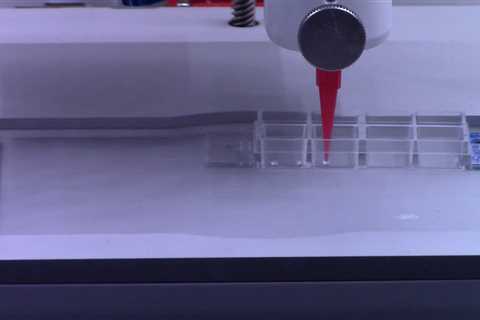 3D printing of plant cells reveals pledge for studying cell function