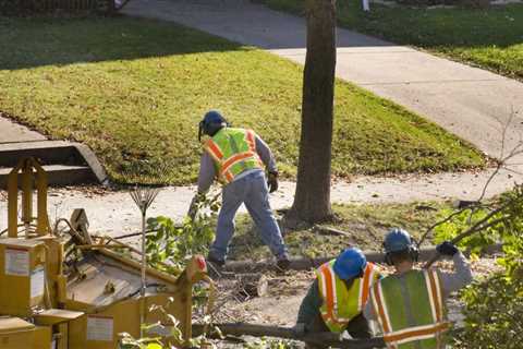 Tree Trimmer Dies After Falling Into Wood Chipper