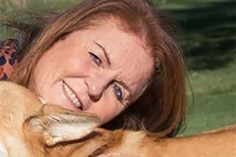 Sarah Ferguson Shares Her First Photos of Queen Elizabeth’s Corgis – E! Online