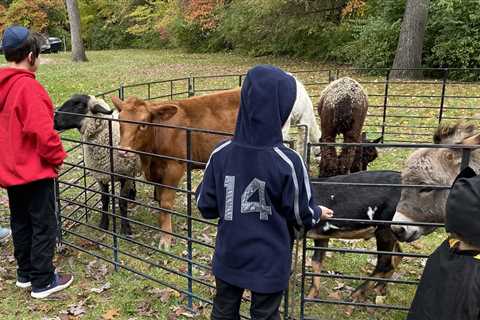 Vegan Life, Bruce Katz, Peppa Pig and a South Bend Fall Festival