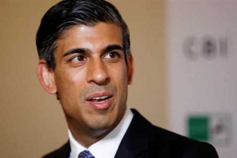 UK PM Rishi Sunak could go to COP27: report