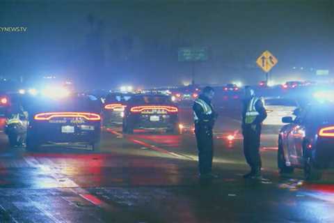 Pedestrian Killed by Vehicle on Santa Monica Freeway