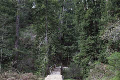 After an extended delay, the regional park district path to San Jose Creek is opening to the..