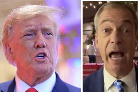 Farage warns Trump’s midterms not ‘major stepping stone’ for 2024 campaign |  United States |  news